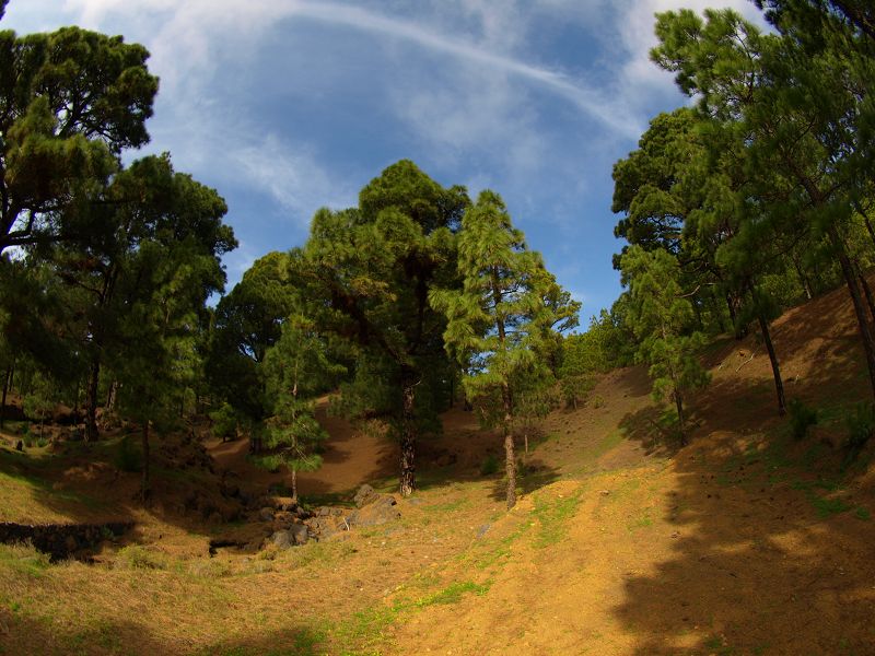 El Julan Pinienstrasse Strasse an der Südküste oben ab Berg geschätzte 1200 Kurven 