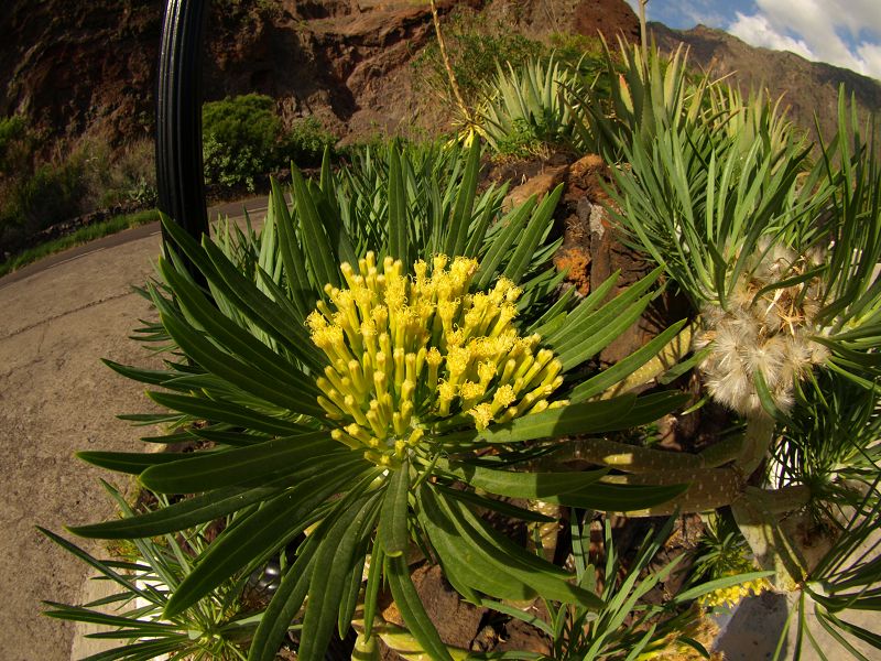 Parador National Stattliches Hotel Südostküste El Hierro 