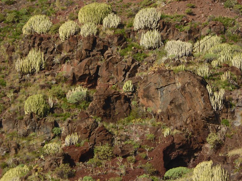   Parador National Staatliches Hotel Südostküste El Hierro  Bildliste mit allen Paradores parador.es/esParador National Staatliches Hotel Südostküste El Hierro 