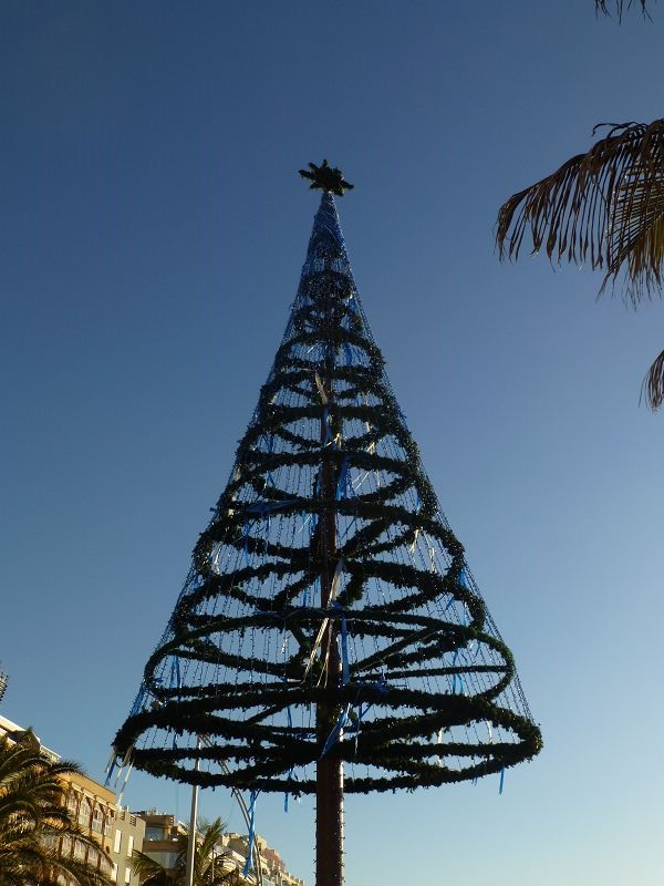 Las Palmas Gran Canaria christmas tree