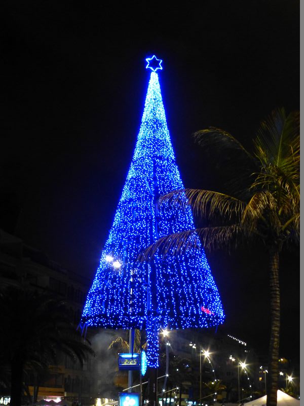 Las Palmas Gran Canaria christmas tree 