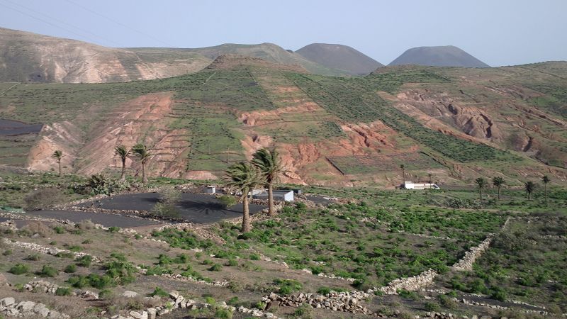 Lanzarote Wanderung nach Haria Tal der Tausend Palmen Mirador Famara