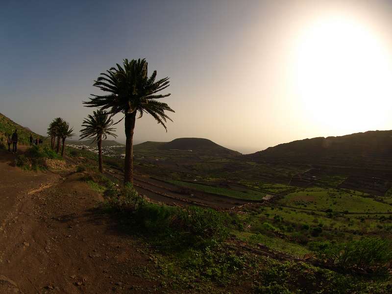 Lanzarote Wanderung nach Haria Tal der Tausend Palmen  Mirador Famara