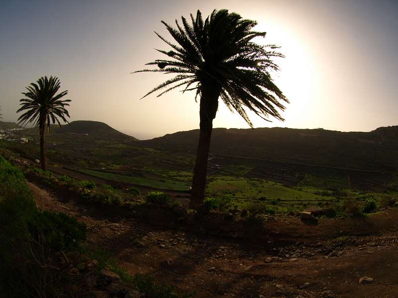 Lanzarote Wanderung nach Haria Tal der Tausend Palmen  Mirador Famara
