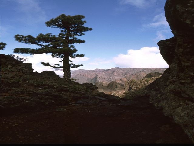 La Palma   La Palma   Vulkanwandern  Caldeira de TaburienteLa Palma  La Palma   La Palma  Vulkanwandern  Caldeira de TaburienteLa Palma bizarre Vulkanlandschaften  Vulkanwandern  Caldeira de Taburiente