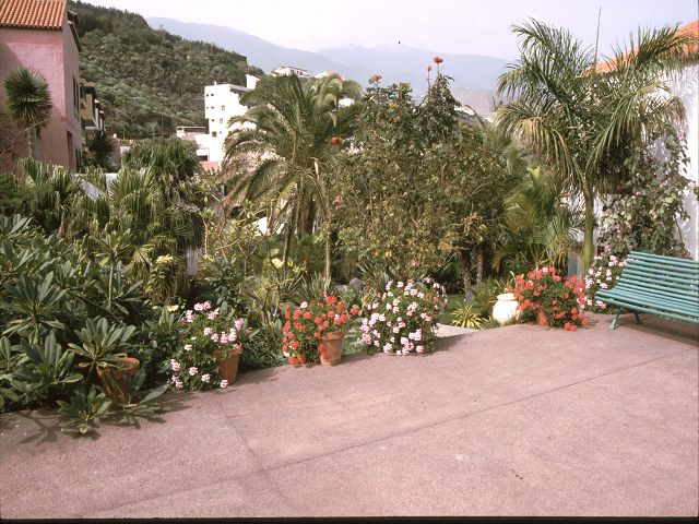 La Palma   Santa Cruz de La Palma    Hacienda Jan Jorge