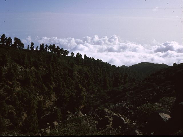 La Palma  La Palma   La Palma  Vulkanwandern  Caldeira de Taburiente
