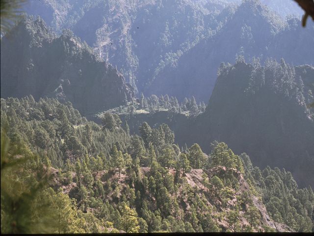 La Palma  La Palma   La Palma  Vulkanwandern  Caldereia de Taburiente