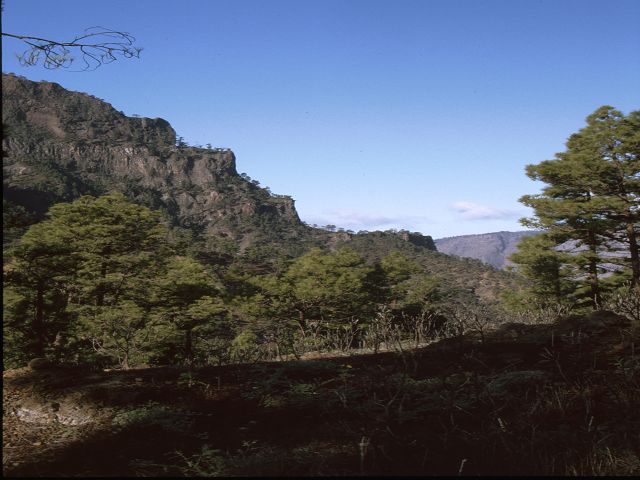 La Palma   La Palma   Vulkanwandern  Caldera de Taburiente Parc National La Palma  La Palma   La Palma  Vulkanwandern  Caldera de TaburienteLa Palma bizarre Vulkanlandschaften  Vulkanwandern  Caldera de Taburiente