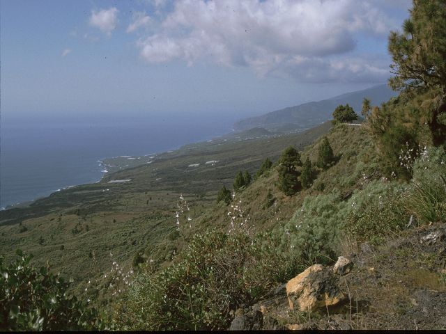 La Palma   Westkueste 