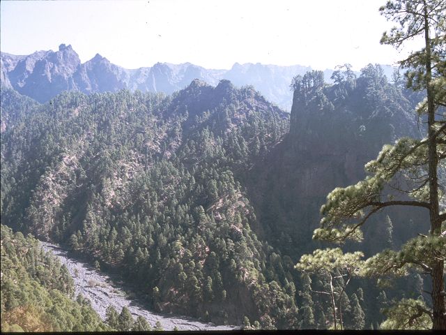 La Palma  La Palma   La Palma  Vulkanwandern  Caldereia de Taburiente