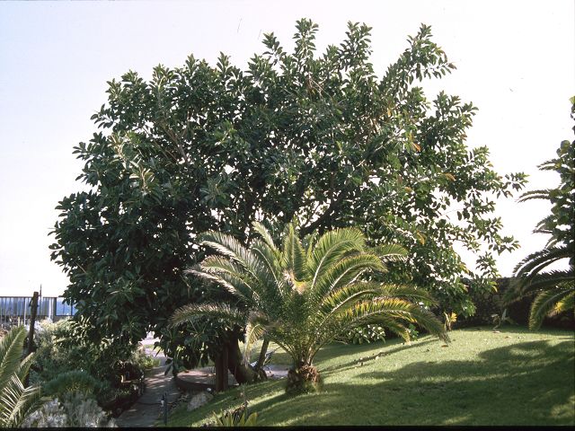 Hacienda Jan Jorge