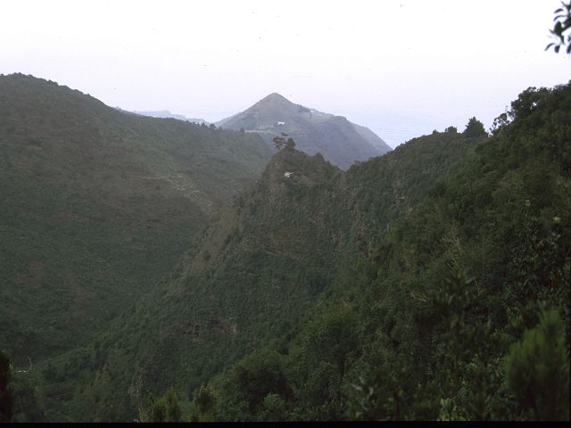 La Palma  Wanderung in der Schlucht Taburiente Wanderung im Lorberwald