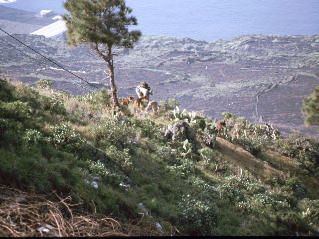 La Palma  weg zum Leuchtturm ueber Lapilli nach Fuencaliente Salinas