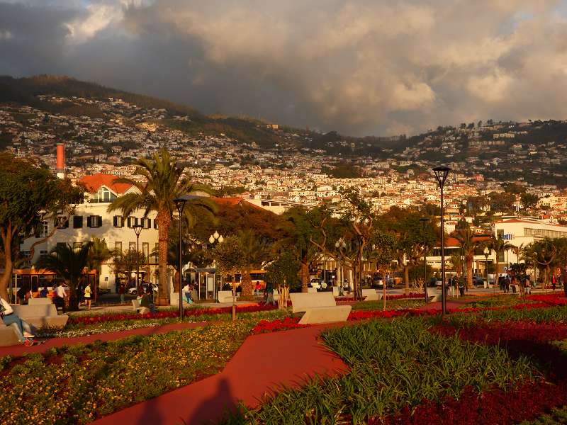 Madeira  Madeira      Funchal 