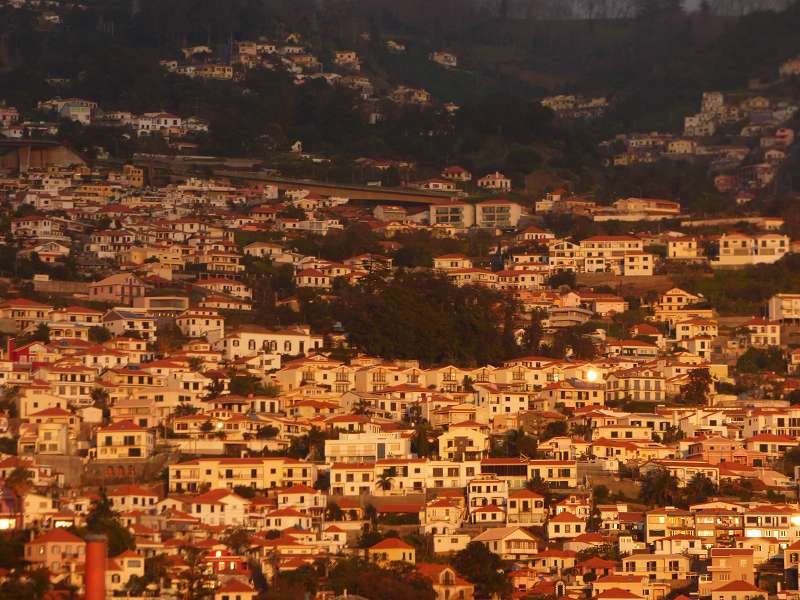 Madeira  Madeira      Funchal 