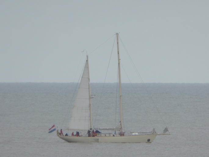 Scheveningen Segler Seglerparade Segelschiffe