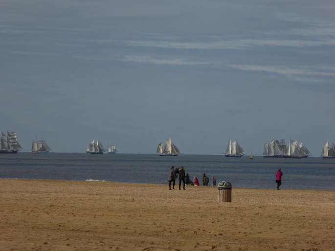 Scheveningen Seesterne nach dem Sturm Seestern