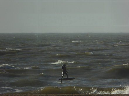 Scheveningen Beach 2016  Surfvorstehhund 