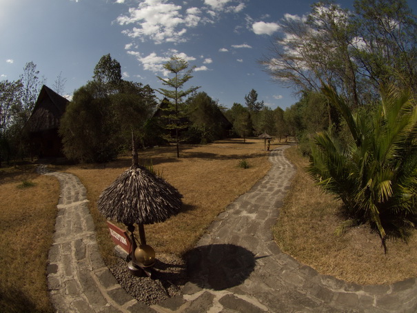 Lake Nakuru Lake Nakuru Lodge Flamingo Hill Camp