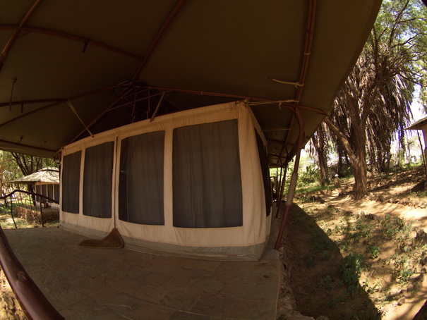   Samburu Nationalpark  Larsens Camp tentsSamburu Nationalpark  Larsens Camp tents
