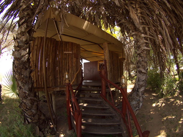 Samburu Nationalpark  Larsens Camp pool