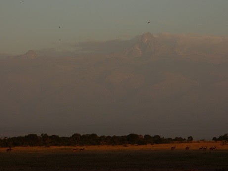   Safari Mount Kenia  2016Safari Mount Kenia  2016