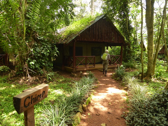  Kibale Forest camp 
