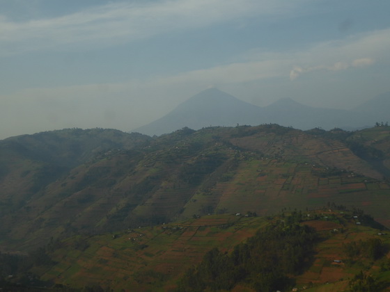 Barabara Kibale Bwindi  Virunga