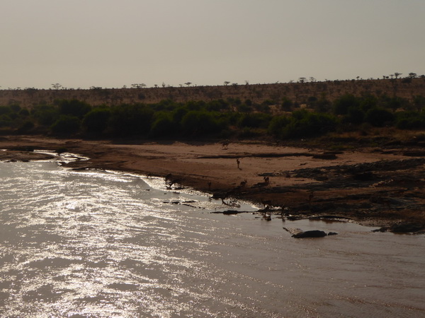 crossing ewaso nyrio