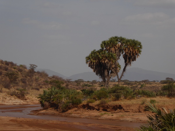 Samburu Nationalpark Samburu Nationalpark Ewaso Ngiro River