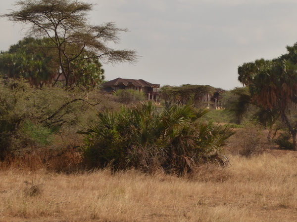 Samburu Nationalpark Buffalo Springs Lodge