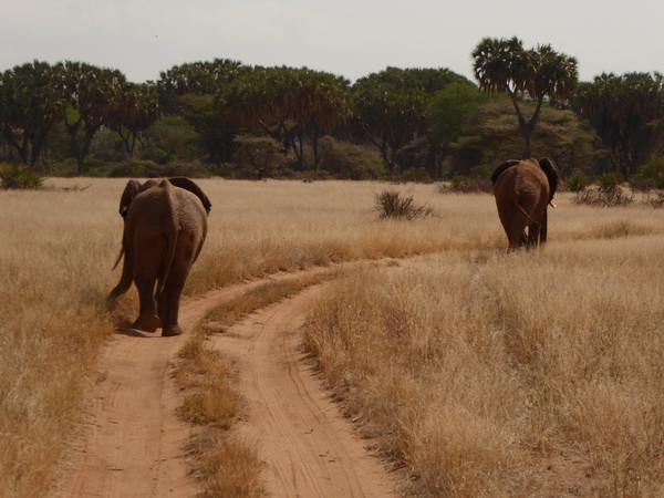  tembo Crossing