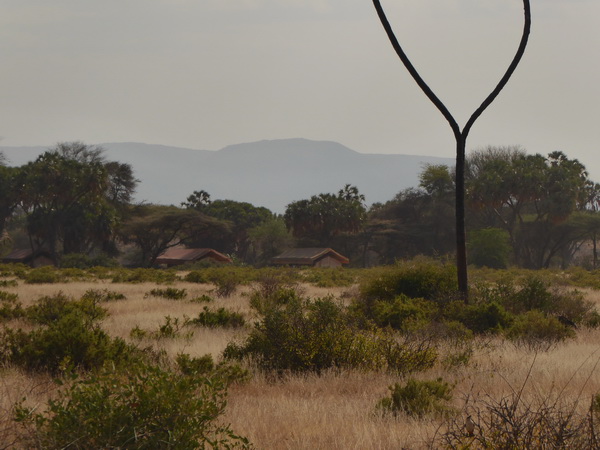 Samburu Nationalpark Larsens Camp