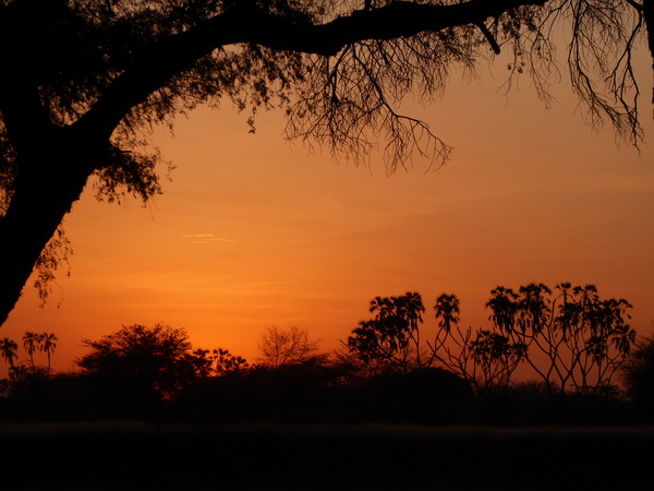 Samburu Nationalpark Larsens Camp bush dinner sundowner