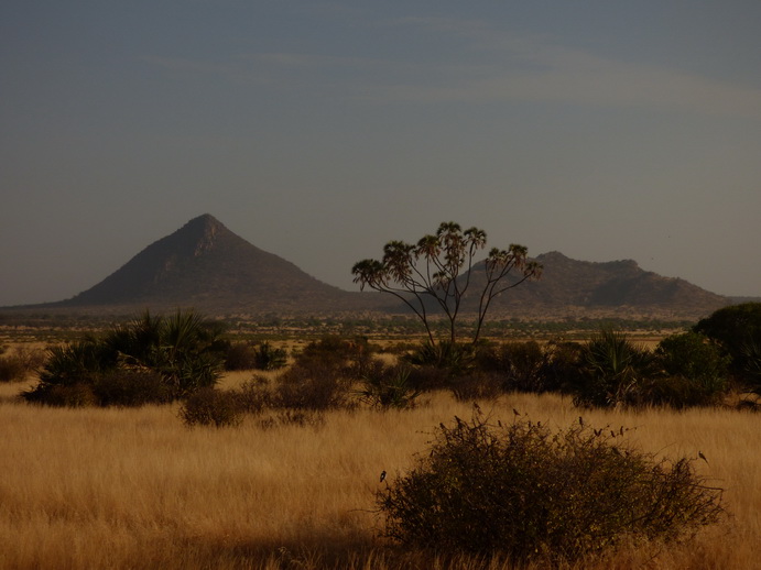 Samburu Nationalpark Bateleur