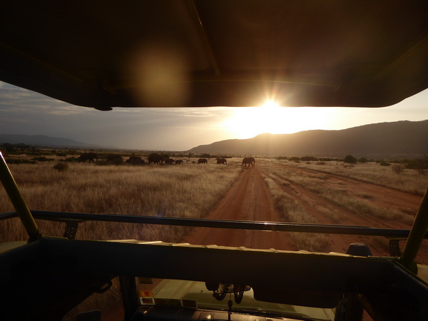 Samburu Nationalpark tembo Crossing