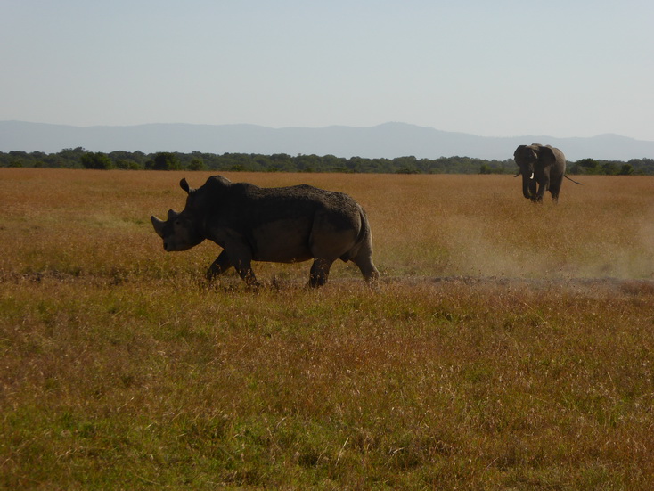 Sweetwaters  Kenia  National Park Hotel Sweetwaters Serena Camp, Mount Kenya National Park: lilac