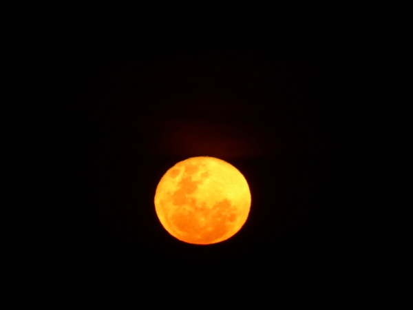 Sweetwaters  Kenia  National Park Hotel Sweetwaters Serena Camp, Mount Kenya National Park: moonrise