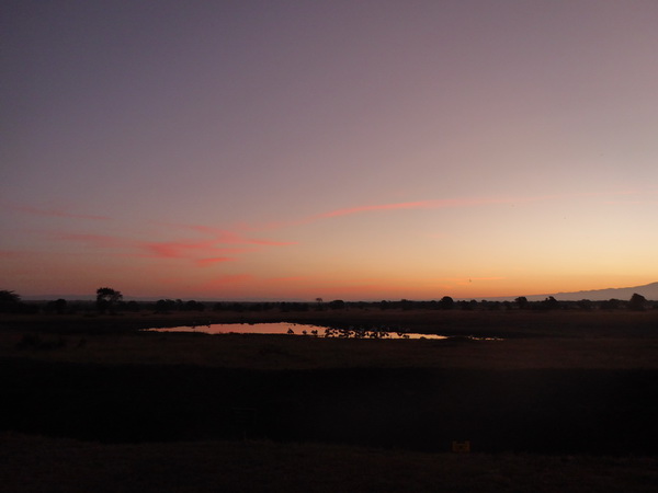 Sweetwaters  Kenia  National Park Hotel Sweetwaters Serena Camp, Mount Kenya National Park sunrise