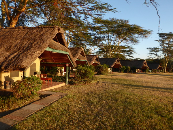 Sweetwaters  Kenia  National Park Hotel Sweetwaters Serena Camp, Mount Kenya National Park tent