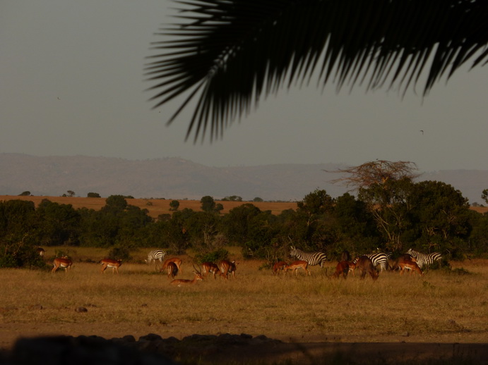 National Park Hotel Sweetwaters Serena Camp, Mount Kenya National Park 1 row tents facing waterhole: 