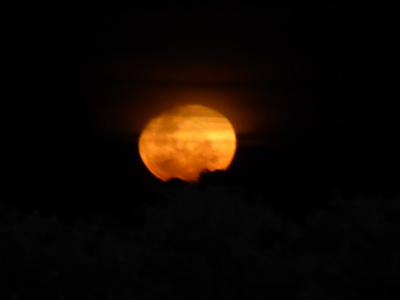   The Ark  in Kenia Aberdare National Park   Moon The Ark  in Kenia Aberdare National Park   Moon 