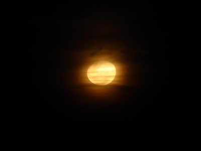   The Ark  in Kenia Aberdare National Park   Moon The Ark  in Kenia Aberdare National Park   Moon 