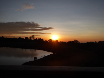   The Ark  in Kenia Aberdare National Park  Sundowner The Ark  in Kenia Aberdare National Park  Sundowner 