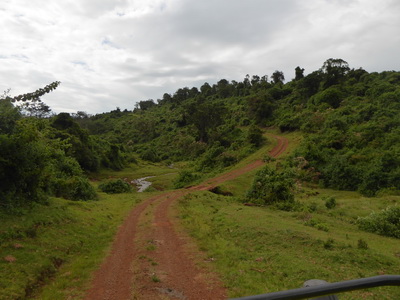 The Ark   Aberdare National Park