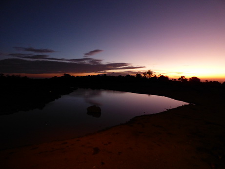 The Ark Mt Kenia Aberdare National Park  Sundowner 