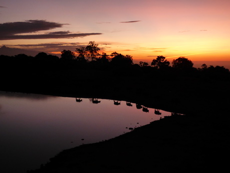 The Ark  in Kenia Aberdare National Park  Buffalo-Sundowner 