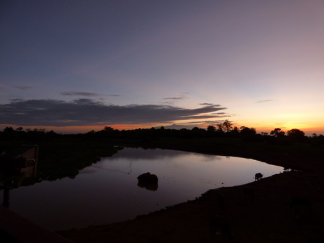 The Ark  in Kenia Aberdare National Park  Buffalo-Sundowner 