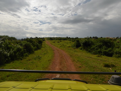 The Ark   Aberdare National Park